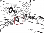 Crown Head Square Gasket